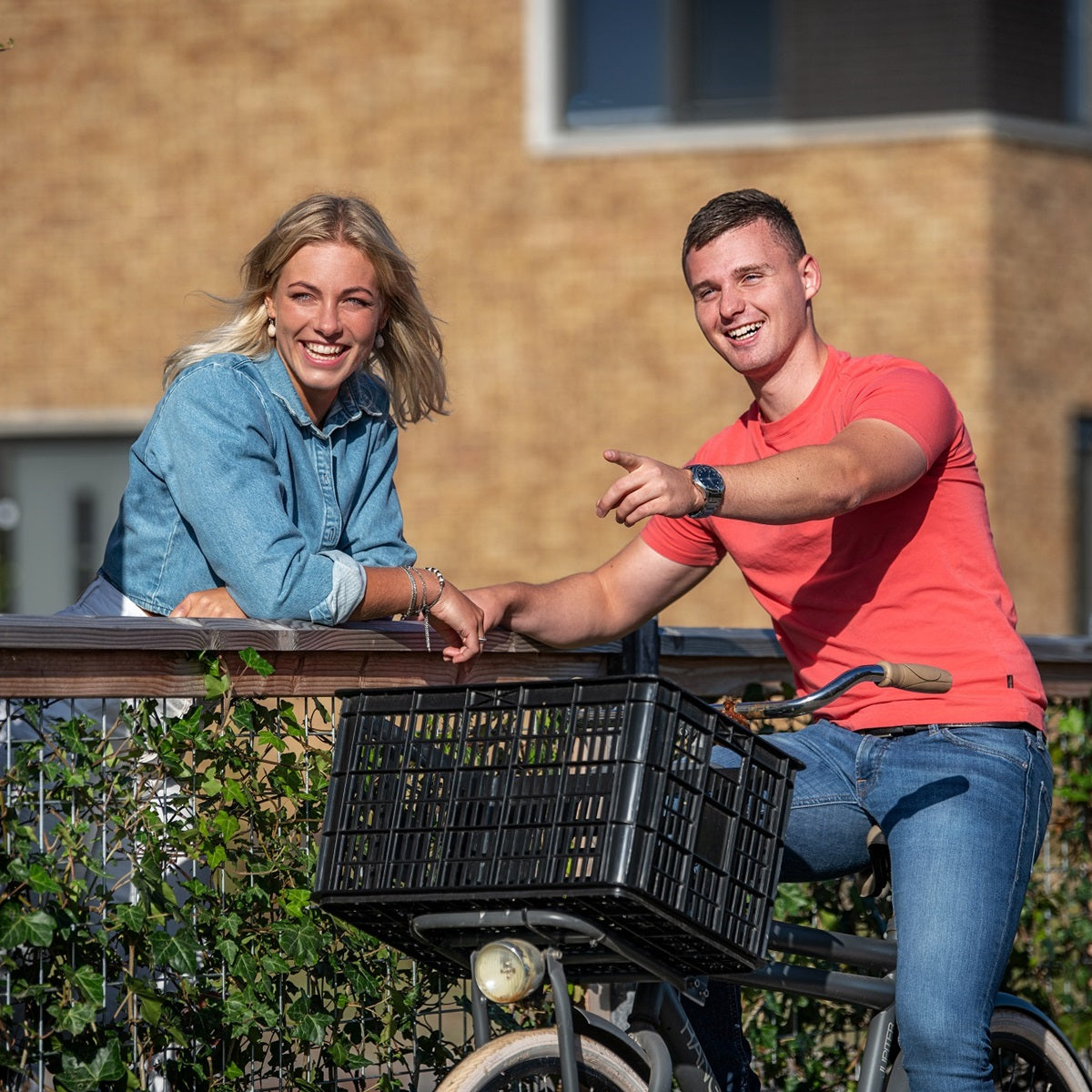 Deluxe Garden Fence Trellis H180xW1800cm - Pine